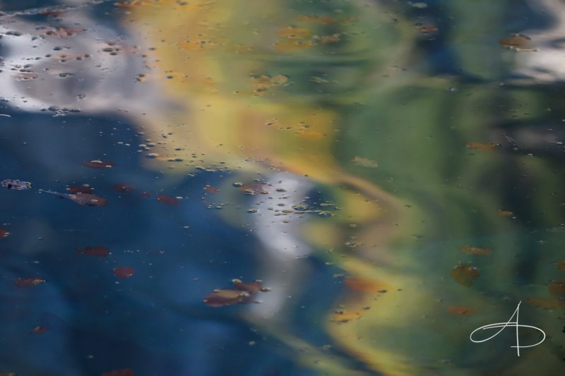 EAUX ABSTRAITES AUTOMNALES 2 (AUTUMNAL ABSTRACT WATERS 2)