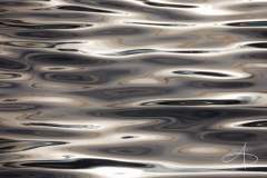 EAUX ABSTRAITES AUTOMNALES GRISES 3 (GREY AUTUMNAL ABSTRACT WATERS 3)