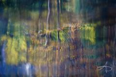 EAUX ABSTRAITES AUTOMNALES 5 (AUTUMNAL ABSTRACT WATERS 5)