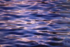 EAUX ET LUMIERES (WATERS AND LIGHTS)