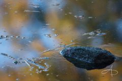 ROCHES ET EAUX ABSTRAITES AUTOMNALES 17 (AUTUMNAL ROCKS AND ABSTRACT WATERS 17)