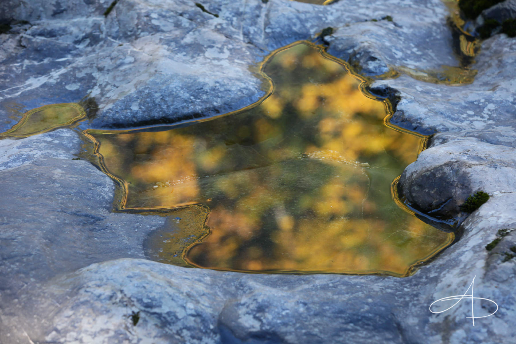 Autumn Rocks and Waters